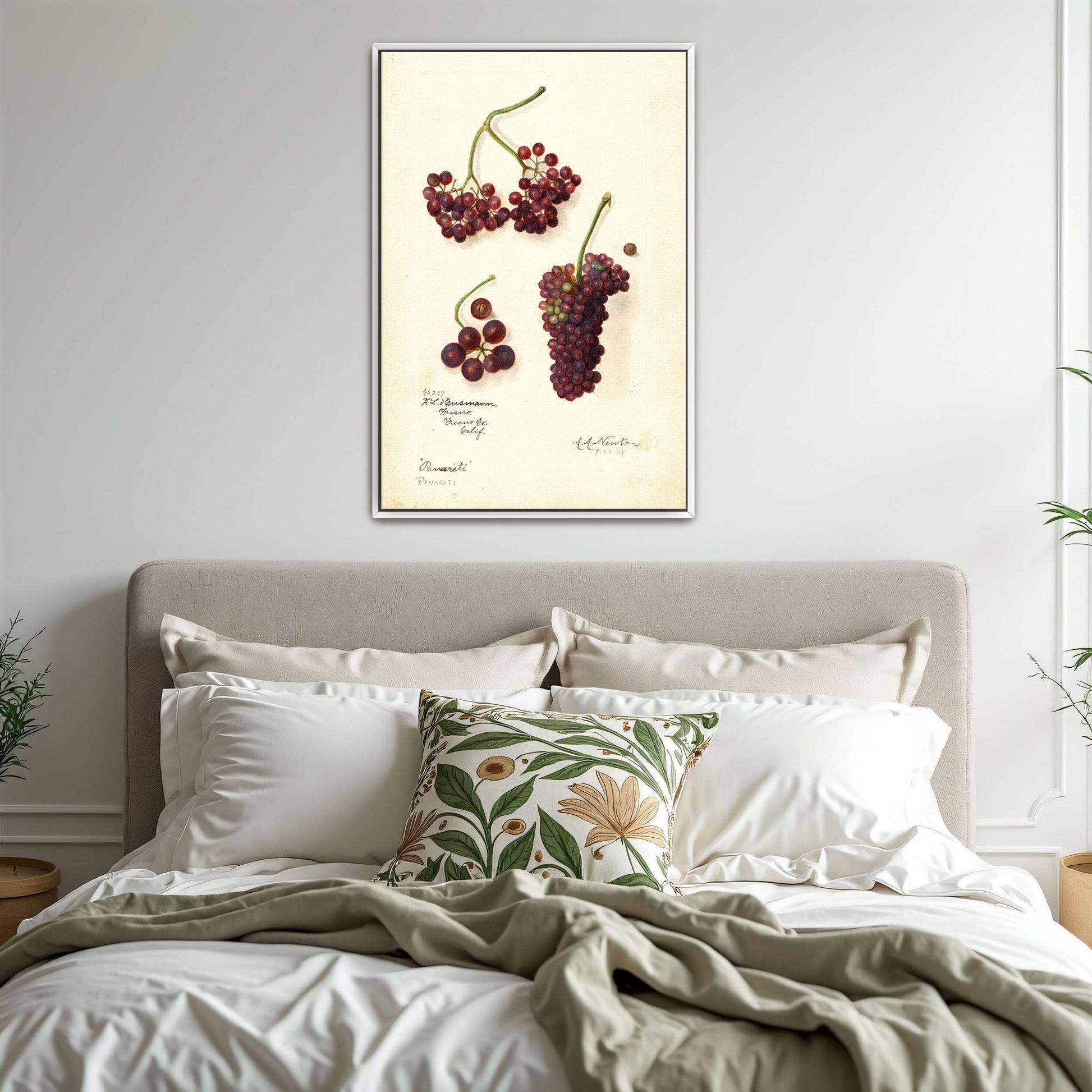 Grape and berry watercolor by Amanda Almira Newton