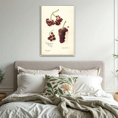 Grape and berry watercolor by Amanda Almira Newton