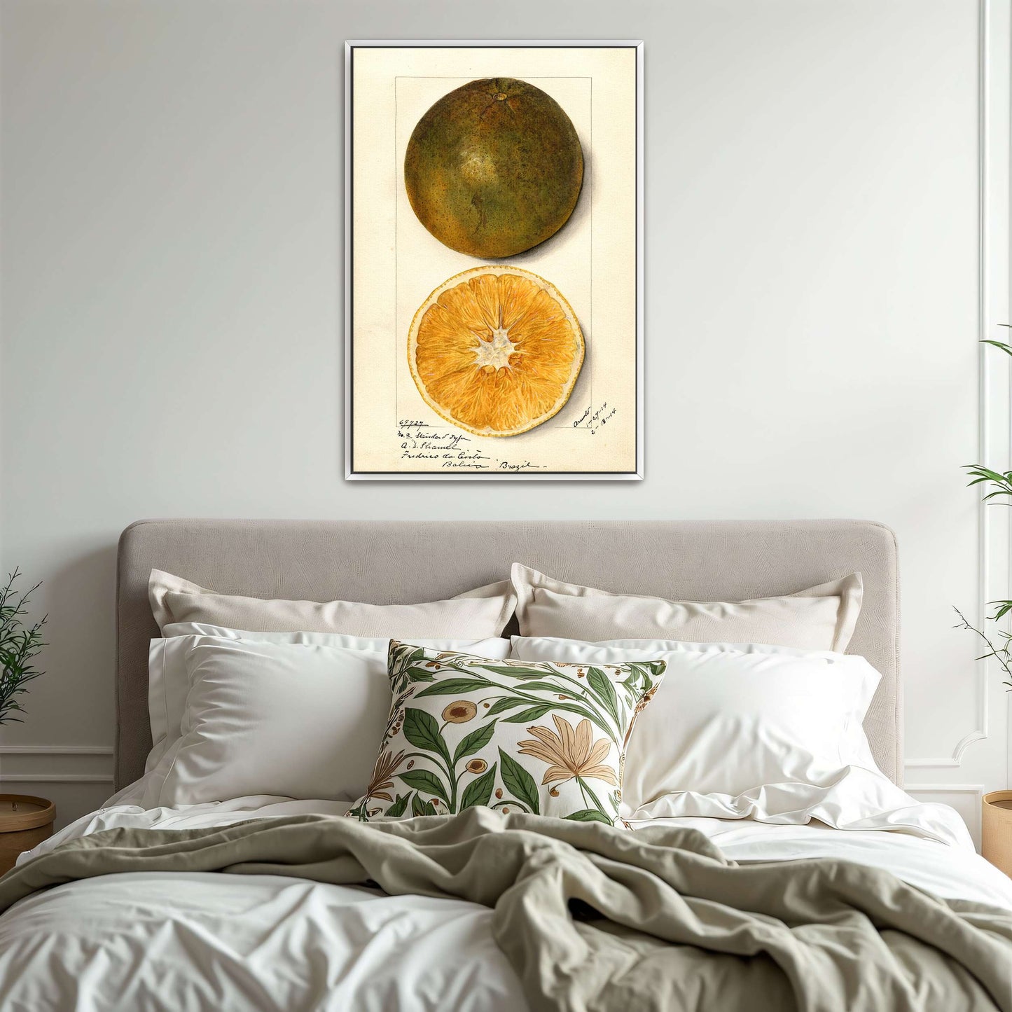 Orange fruit watercolor painting by Mary Daisy Arnold