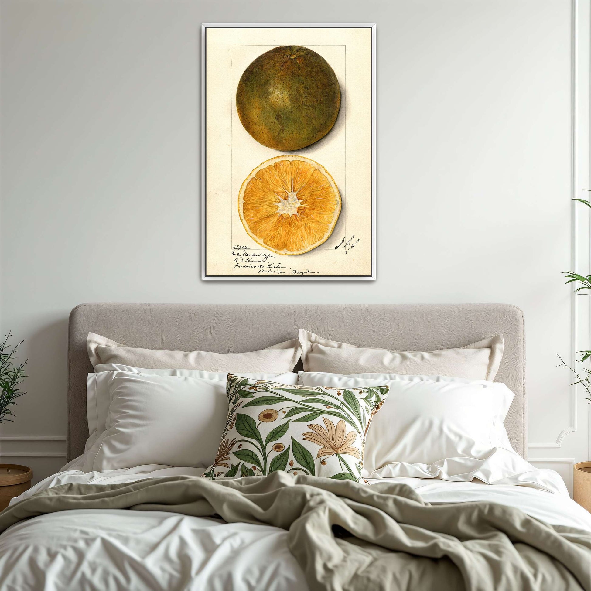 Orange fruit watercolor painting by Mary Daisy Arnold