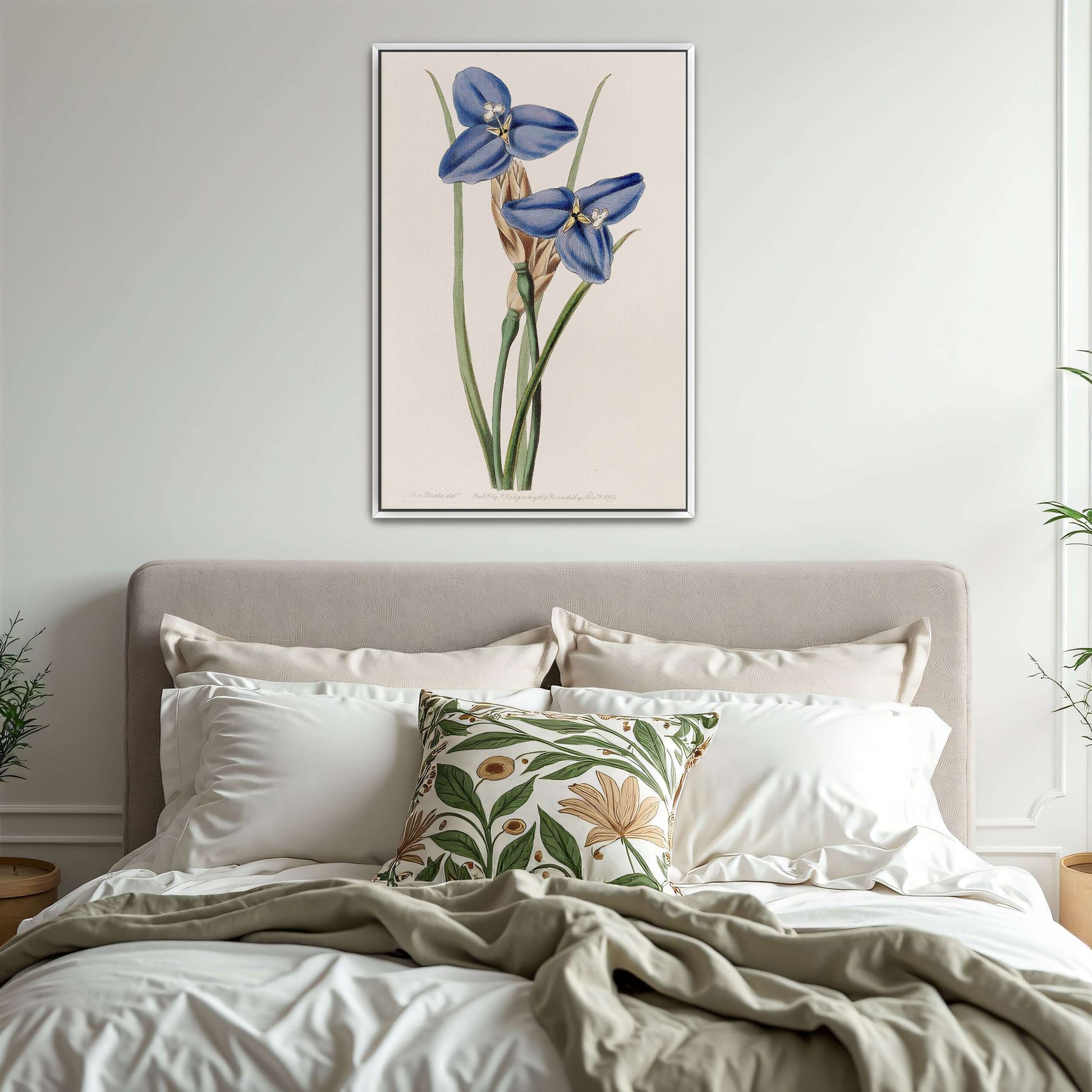 Blue flowers botanical illustration by Sydenham Edwards