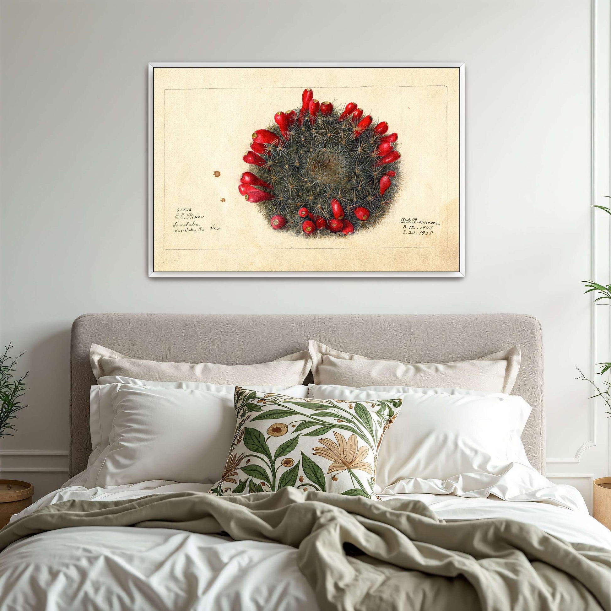 Cactus with red flowers by Deborah Griscom Passmore