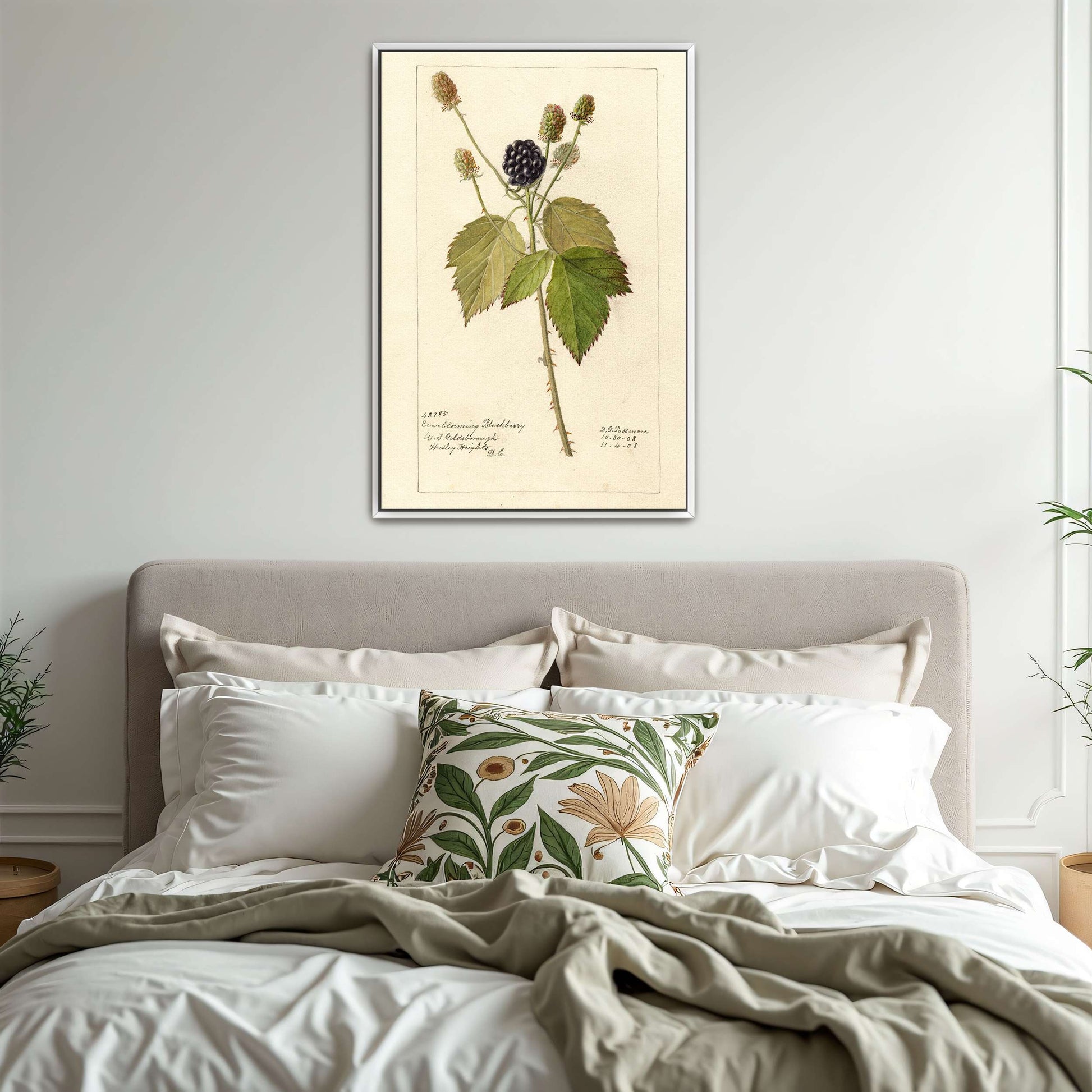 Everblooming Blackberry Botanical by Deborah Griscom Passmore