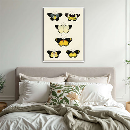 Five butterflies on white background by Pieter Cramer