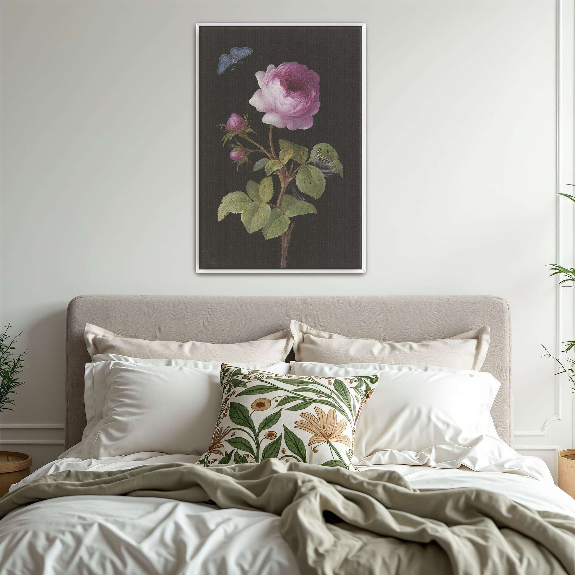 Pink rose, butterfly, caterpillar by Elisabeth Christina Matthes