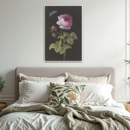 Pink rose, butterfly, caterpillar by Elisabeth Christina Matthes
