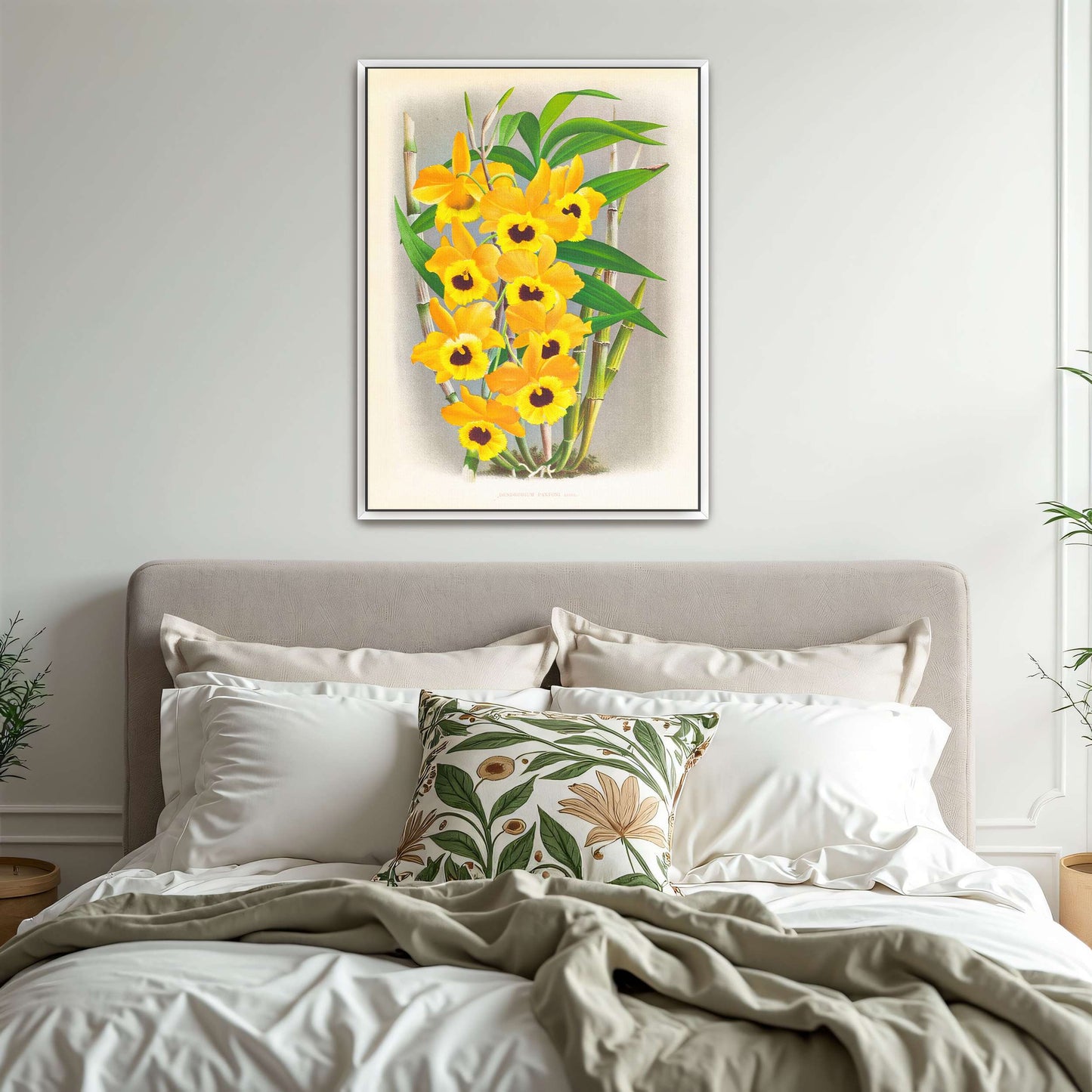 Yellow orchid botanical illustration by Jean Jules Linden