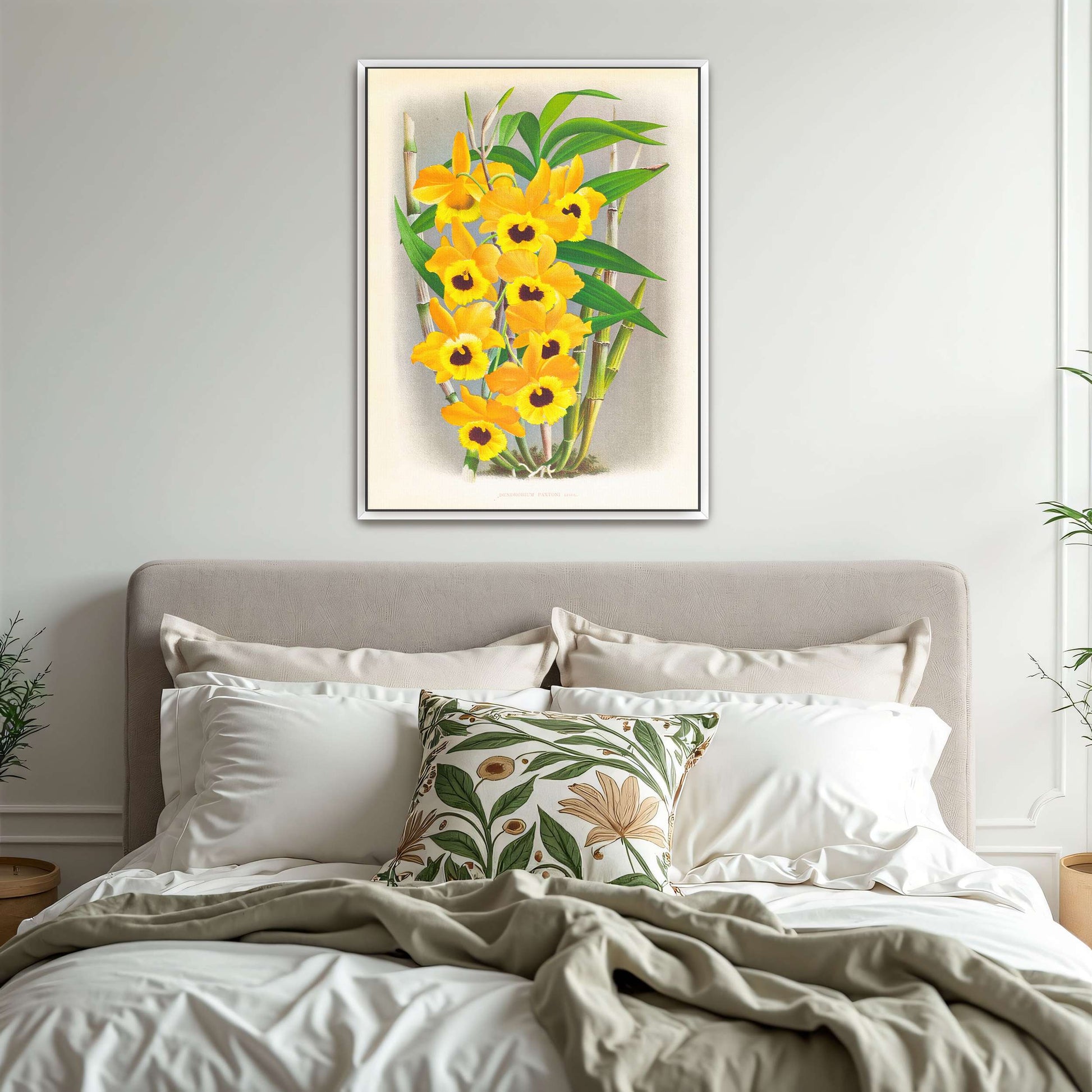 Yellow orchid botanical illustration by Jean Jules Linden