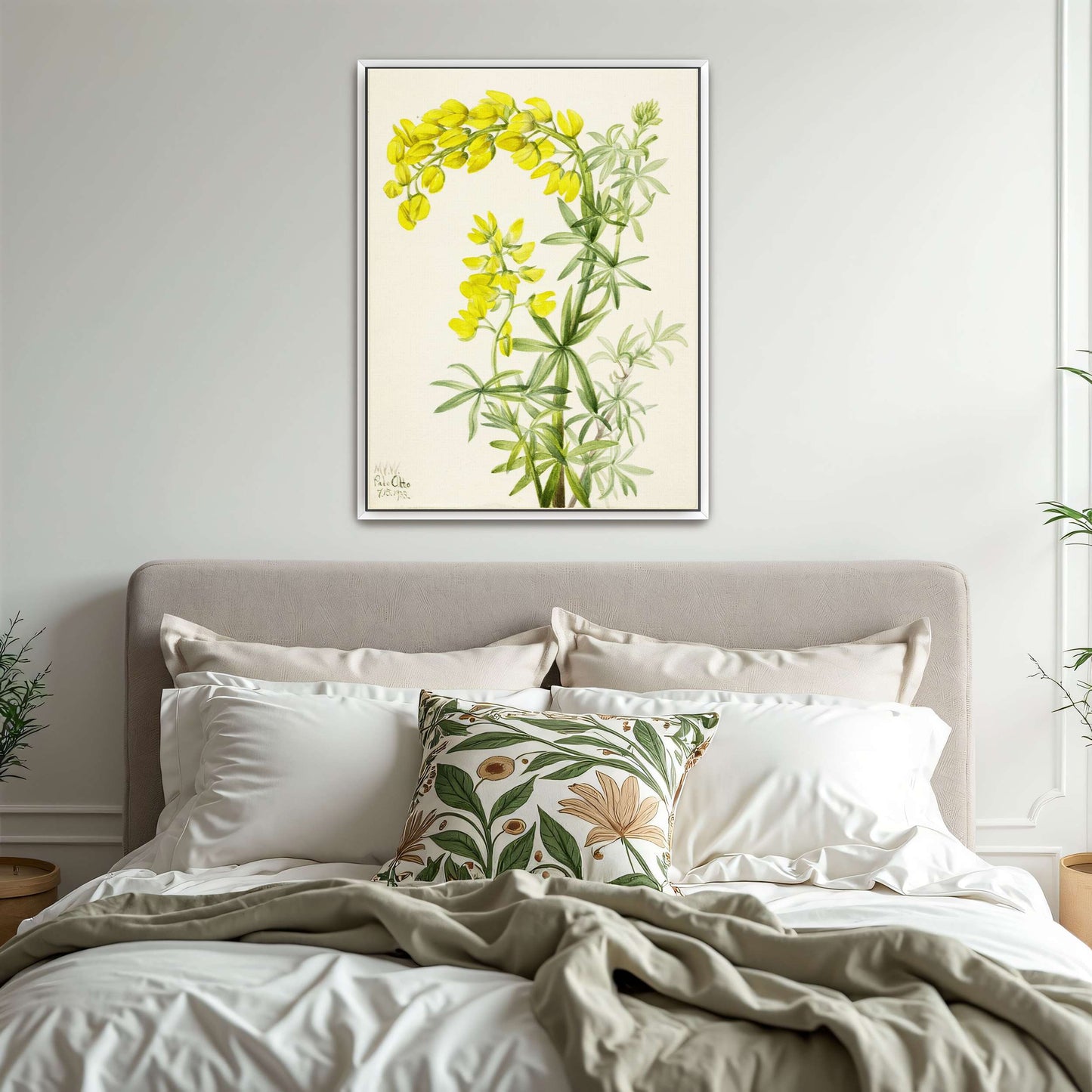 Yellow lupine watercolor painting by Mary Vaux Walcott