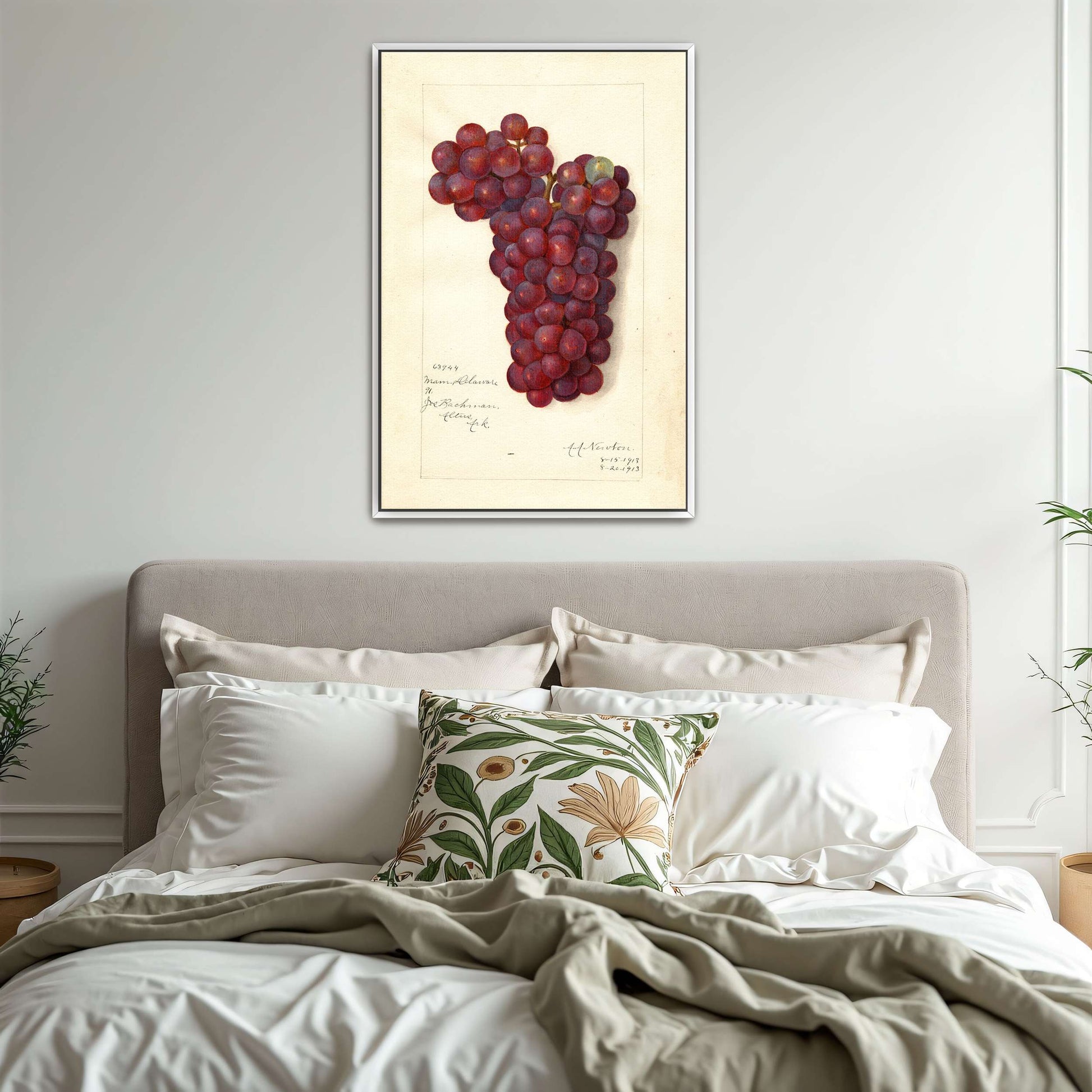 Watercolor painting of grapes by Amanda Almira Newton