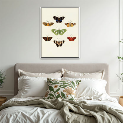 Exotic Butterflies Illustration By Pieter Cramer