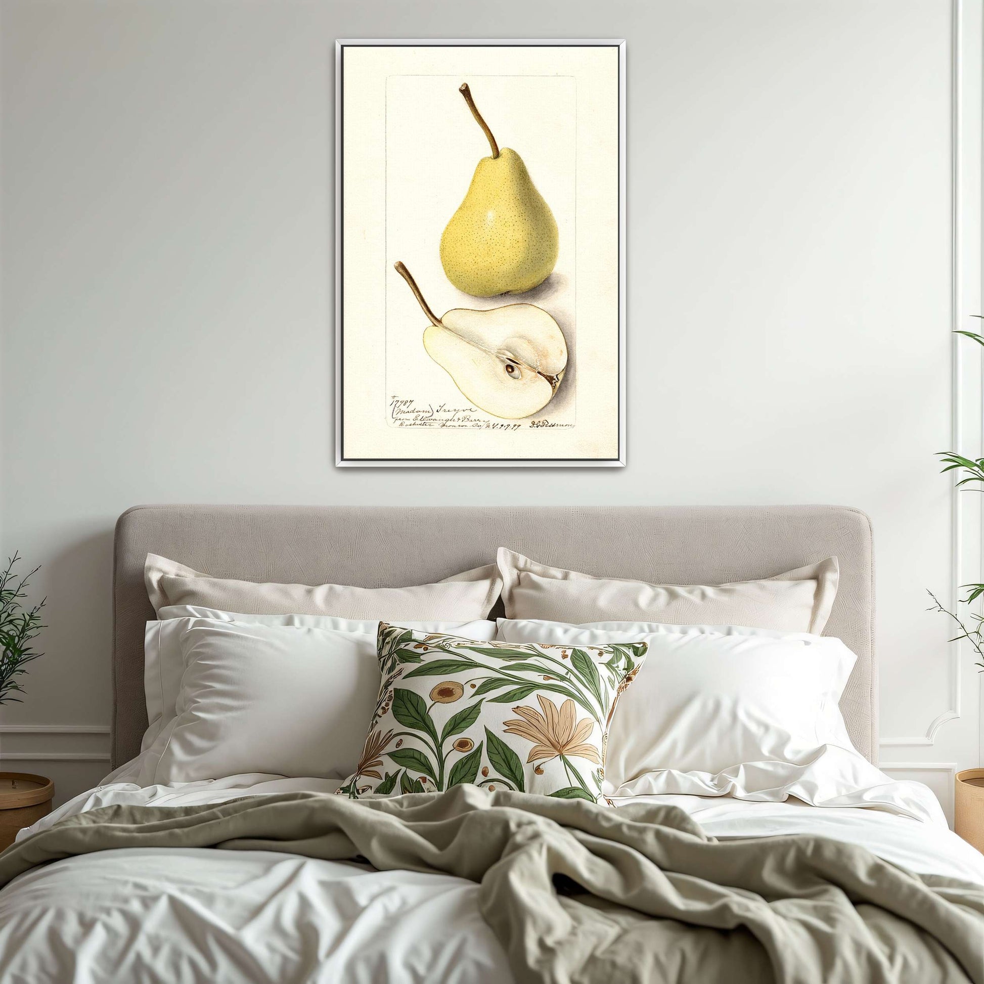 Watercolor pear painting by Deborah Griscom Passmore