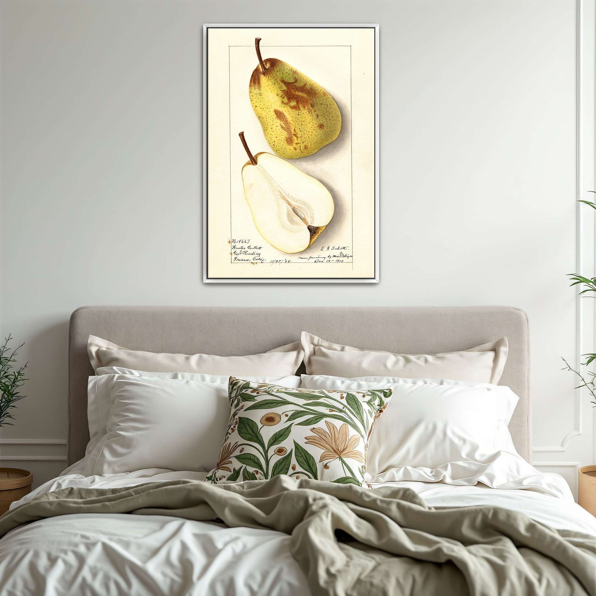 Watercolor pear painting by Ellen Isham Schutt