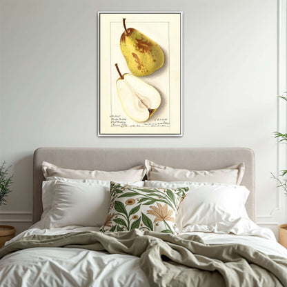 Watercolor pear painting by Ellen Isham Schutt