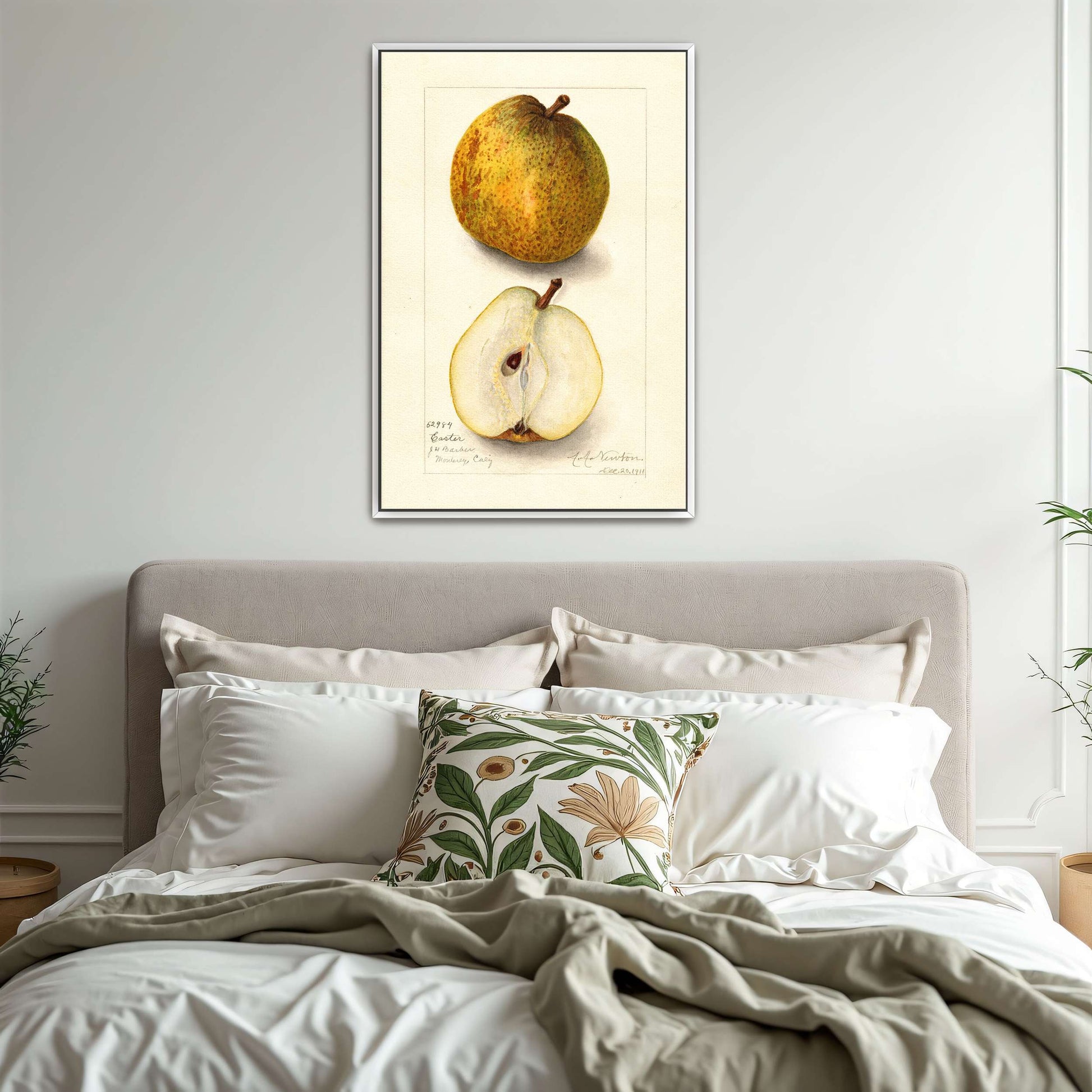 Watercolor painting of pears by Amanda Almira Newton