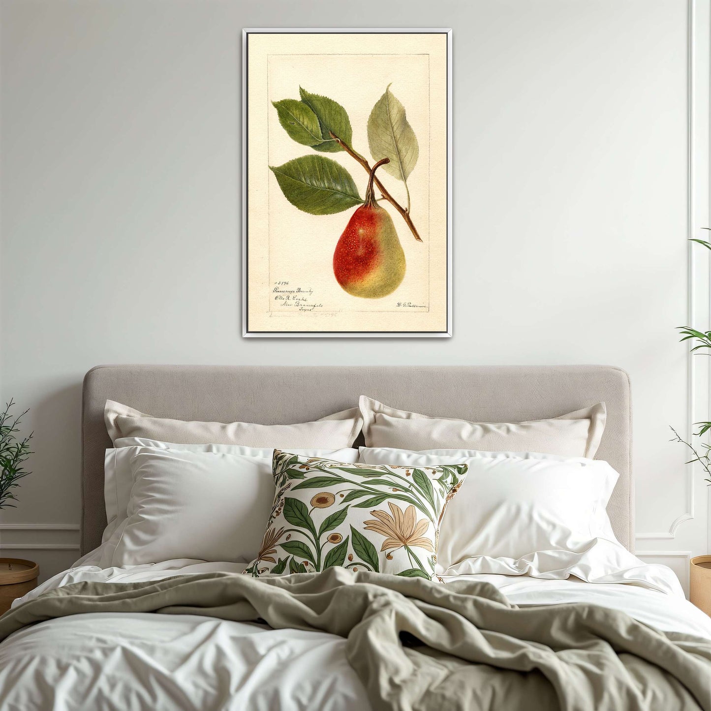 Summer Beauty pear watercolor by Deborah Griscom Passmore