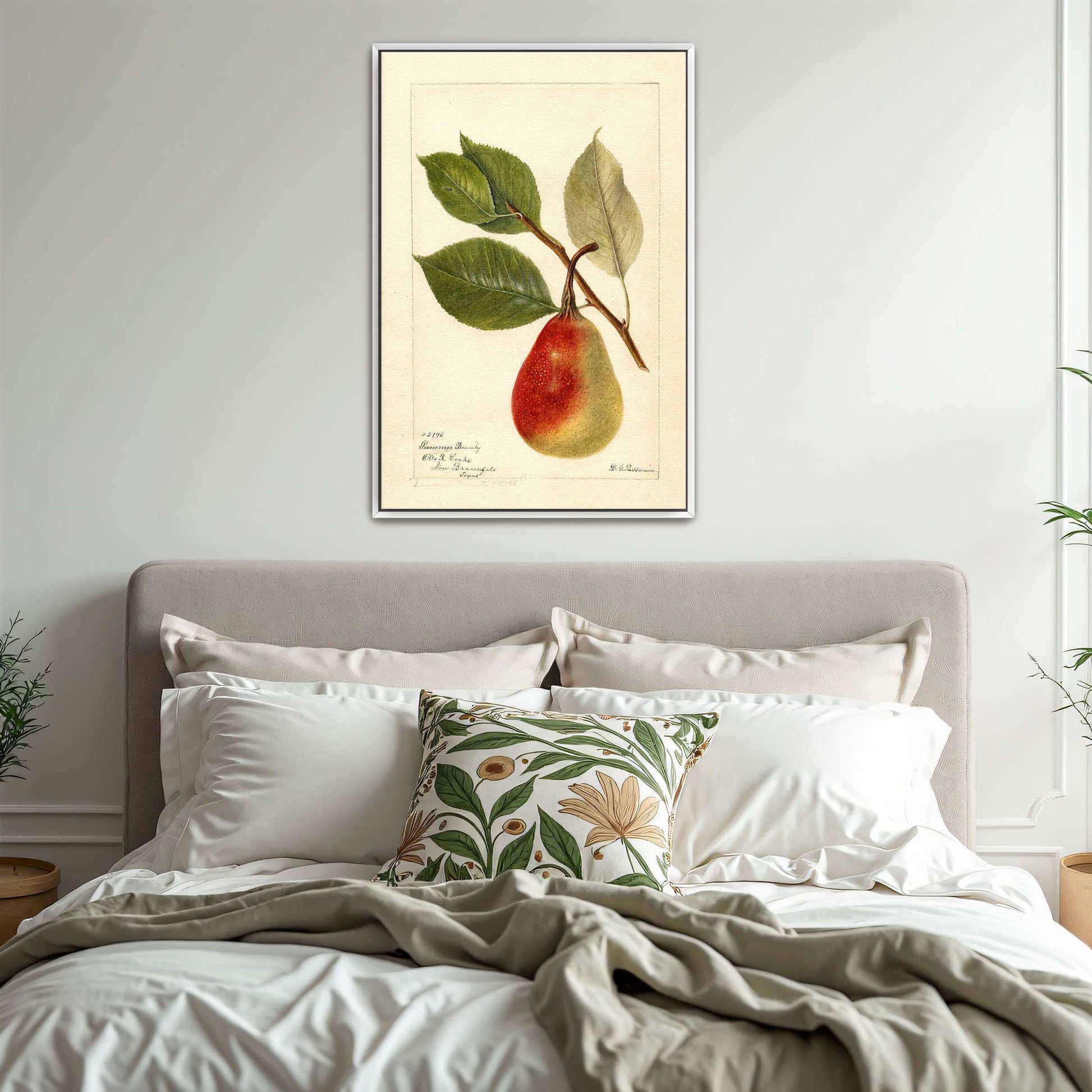 Summer Beauty pear watercolor by Deborah Griscom Passmore