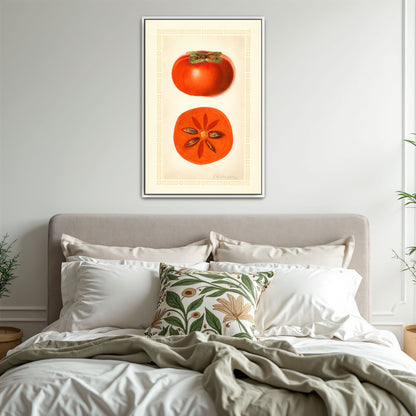 Diospyros Fuyu Persimmon Fruit Illustration By Royal Charles Steadman