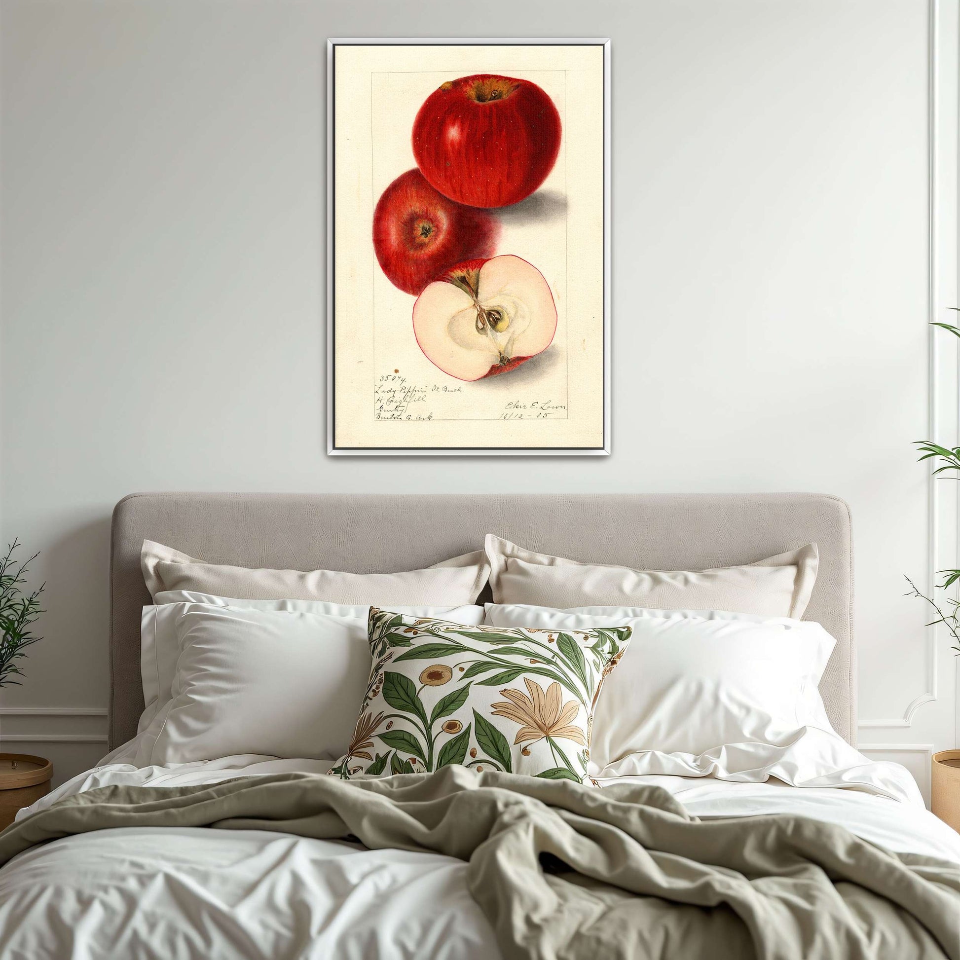 Three red apples, watercolor painting by Elsie E. Lower