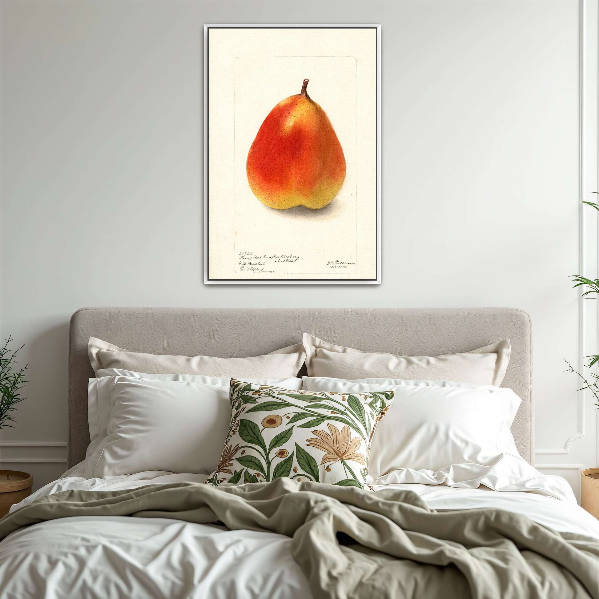 Watercolor painting of a pear by Deborah Griscom Passmore